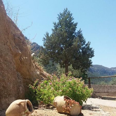 בית הארחה דורגלי 	Casa Lucia Campagna Relax מראה חיצוני תמונה