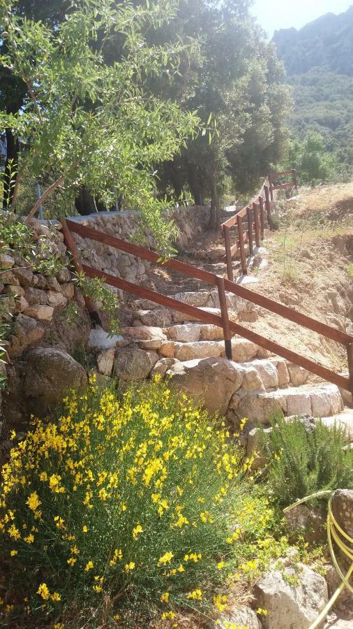 בית הארחה דורגלי 	Casa Lucia Campagna Relax מראה חיצוני תמונה