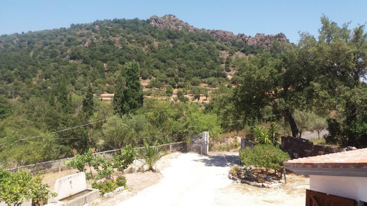 בית הארחה דורגלי 	Casa Lucia Campagna Relax מראה חיצוני תמונה